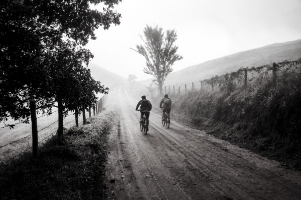 Canva - Grayscale Photography of Two Person Biking